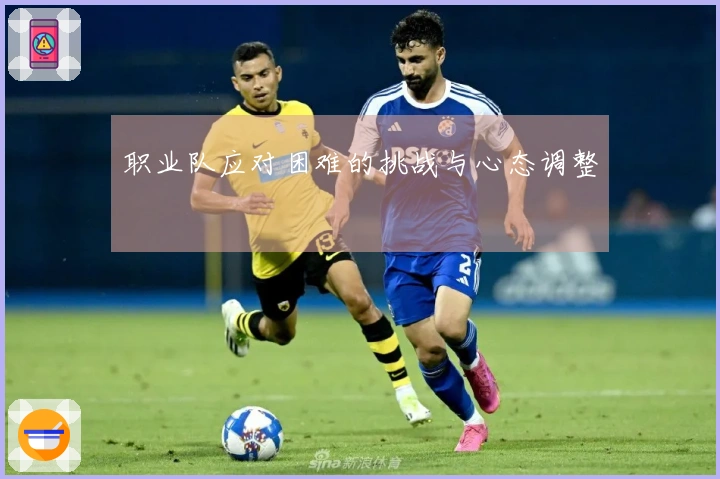 职业队应对困难的挑战与心态调整