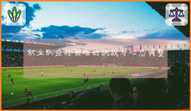 职业队应对困难的挑战与心态调整